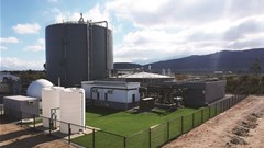 How chicken waste is helping South Africa keep the lights on