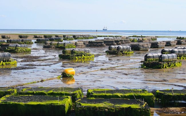 Reimagining the ocean economy with Ocean Innovation Africa