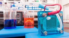 Four ways microbial fuel cells might revolutionise electricity production in the future