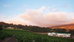 The Drinks Business names Journey's End Vineyards 'Ethical Company of the Year'