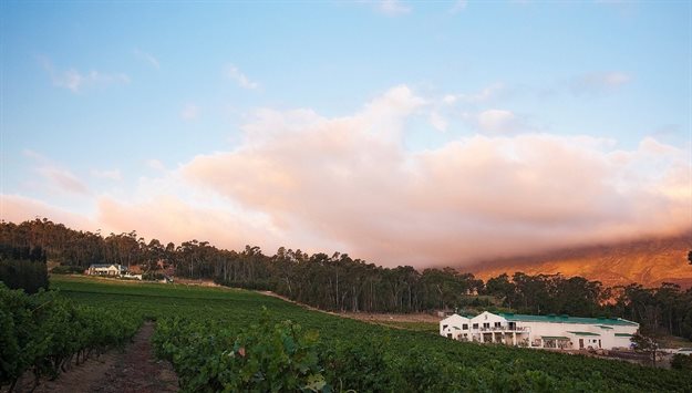 Journey's End Vineyards
