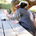 Vinpro raises concerns about consequences of alcohol ban for SA wine industry