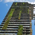 Green buildings can bring fresh air to design, but they can also bring pests