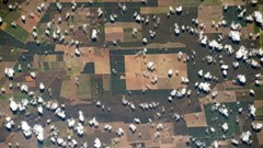 Nigerian startups make ag-tech accessible to small local farmers