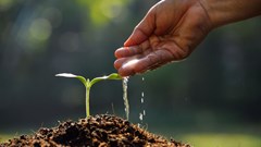 Spar's successful Rural Hub initiative poised for growth