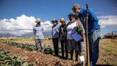SA's first organic pollinator programme launched
