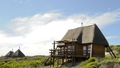 SANParks boosts digital transformation strategy