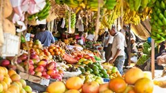 Why healthy food and its local production should be part of the Covid-19 response