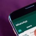 The problem with switching from WhatsApp to Telegram and Signal