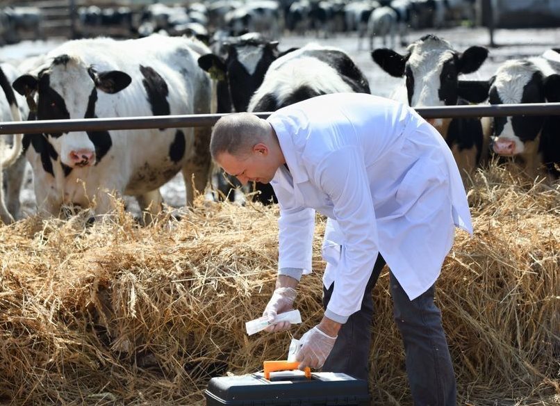 Veterinary involvement critical in Covid-19 response