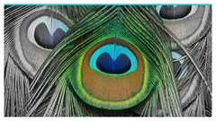 Market segmentation: people and places