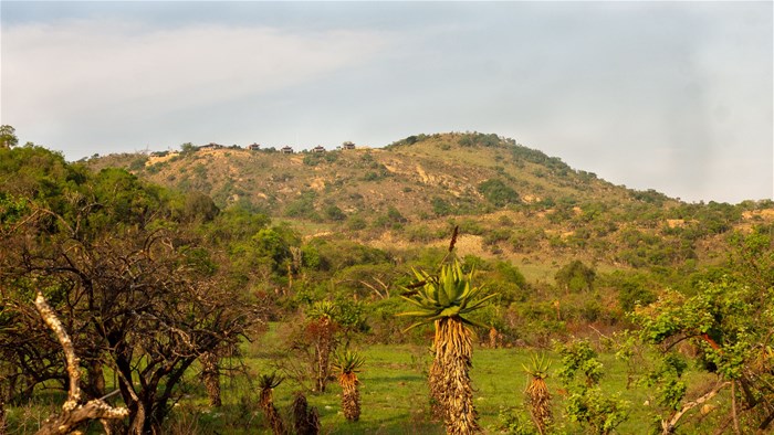 Looking up at Zulu Rock Lodge, Babanango Game Reserve - © Di Brown