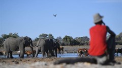 New targets to protect biodiversity must include farmers and agriculture