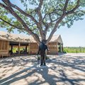 Mdluli Safari Lodge achieves AA+ investment grade rating