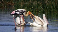 Nature: how do you put a price on something that has infinite worth?