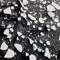 An aerial view of floating ice taken by a drone launched from Greenpeace's Arctic Sunrise ship in the Arctic Ocean on 15 September 2020. Reuters/Natalie Thomas