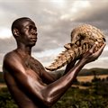 What pangolins taught us: We are all conservationists