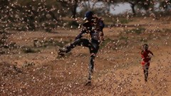 Farmers fight back: Making animal feed from a locust plague