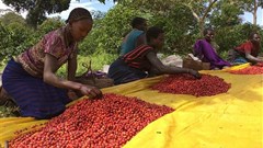 Why it pays to link products to places - and how African countries can do it