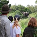 10 reasons why a family safari is one of the best escapes from Covid-19 right now