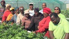 SA venture to benefit from new Mondelez impact investing platform