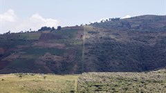 In Kenya, electric fences protect forests from human destruction