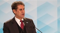 Francesco La Camera, DG, Irena