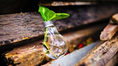 Credit: Bruno via Pexels