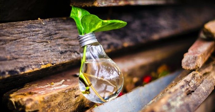 Credit: Bruno via Pexels