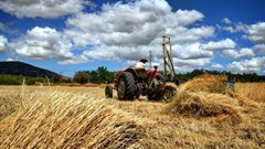 How wheat straw, mango peels could be used for renewable food packaging