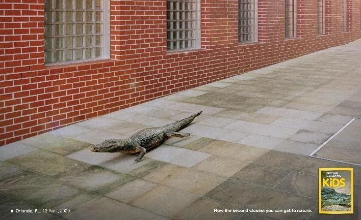 FoxP2 shines at 2020 Creative Circle Ads of the Year ceremony