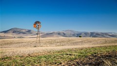 Disasters take heavy toll on agri-food systems as new threats emerge