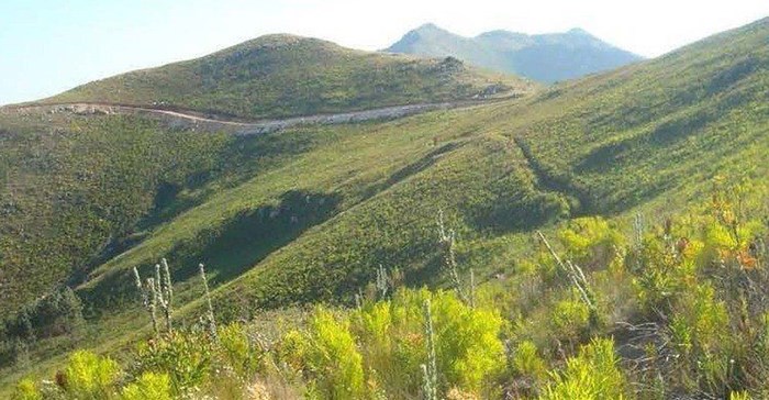 The Inyanda-Roodeplaat wind farm site in the Eastern Cape, taken from the cover of an Environmental Impact Report.
