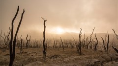 Have your say on draft climate change NDC