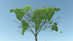 Sustainability, it's in the details