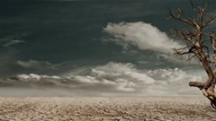 South Africa can't afford for SME relief funds to dry up