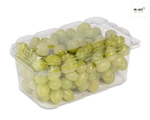 Can a world without plastics exist?