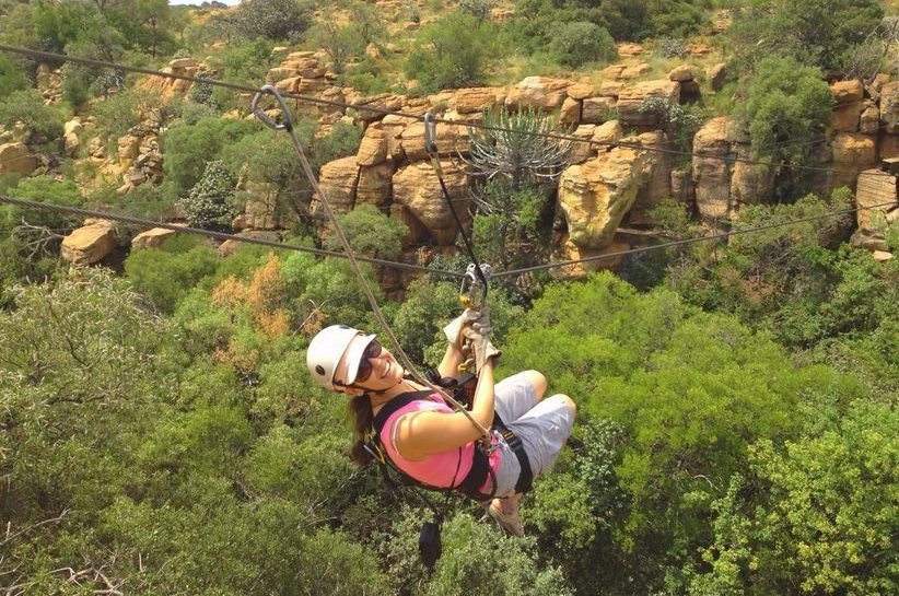 Domestic tourism to the rescue