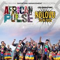 New Montecasino show celebrating Ndlovu Youth Choir to create employment in the arts