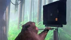 A sticky situation: Part 2: Post humans, frogs and AGI