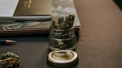 Euromonitor identifies 6 cannabis consumer archetypes