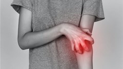 Mykola Samoilenko/Shutterstock