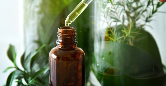 Credit: L'Oréal Group