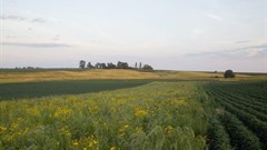 Climate-friendly farming strategies can improve the land and generate income for farmers