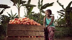 Global competition invites startups, enterprises to change the face of food systems