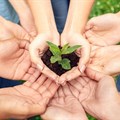 New visions of social work advocating for environmental justice