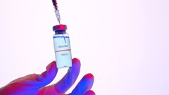 Over 100 countries back Trips waiver on Covid-19 vaccines