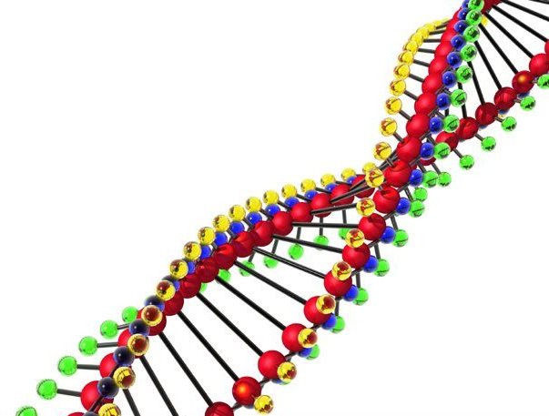 Remote training in bioinformatics to upskill scientists across Africa