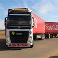 Coca-Cola Beverages Africa acquires share in Lesotho bottler