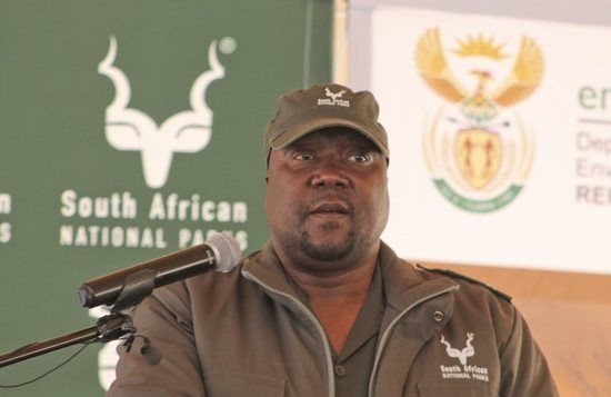 SANParks CEO Fundisile Mketeni. Image source: